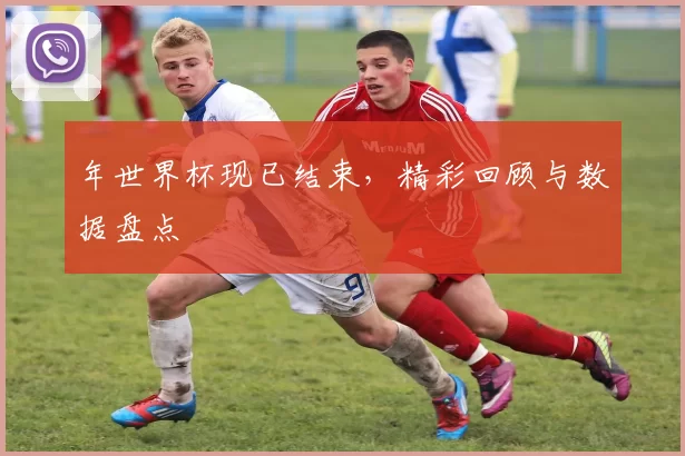 年世界杯现已结束，精彩回顾与数据盘点