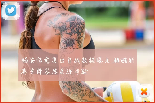 锡安伤愈复出首战数据曝光 鹈鹕新赛季阵容厚度迎考验