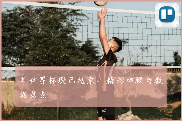 年世界杯现已结束，精彩回顾与数据盘点