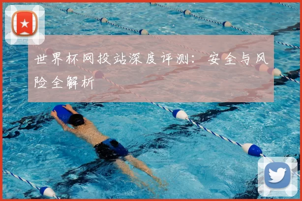 世界杯网投站深度评测:安全与风险全解析