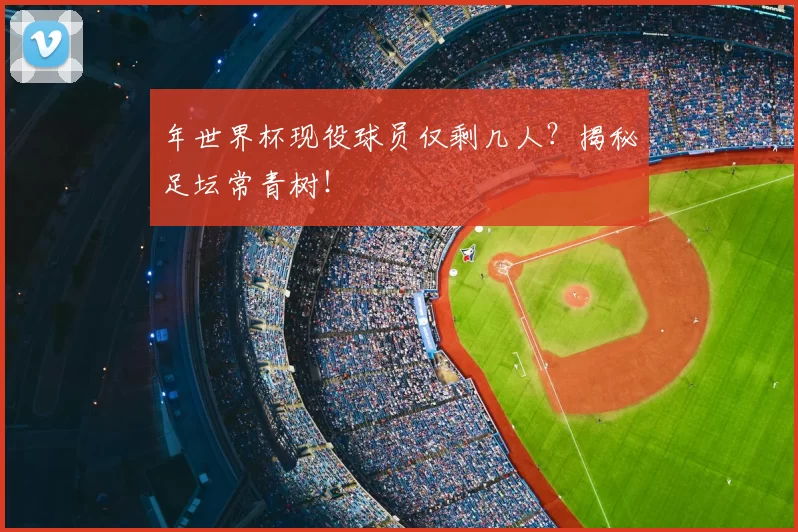 年世界杯现役球员仅剩几人?揭秘足坛常青树!
