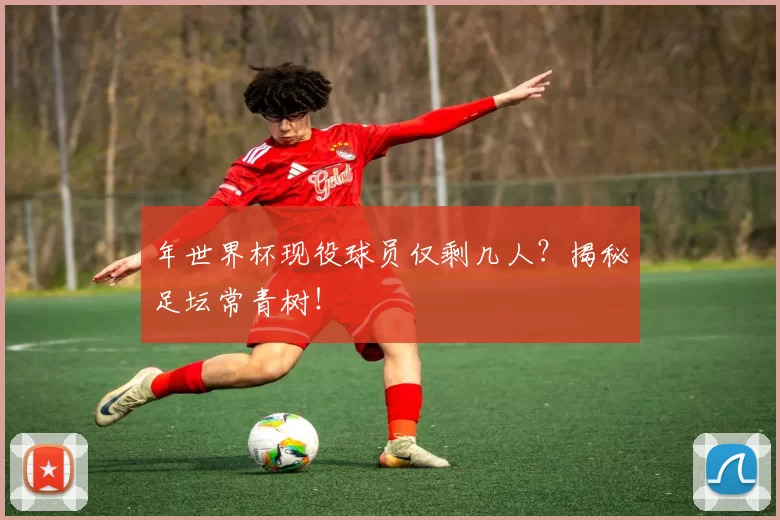 年世界杯现役球员仅剩几人？揭秘足坛常青树！